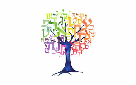 Introdução ao Estudo da Torah Rabino Jonathan Sacks